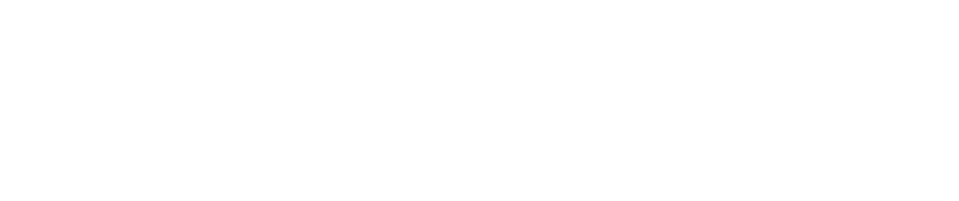 Manning Technology Consulting